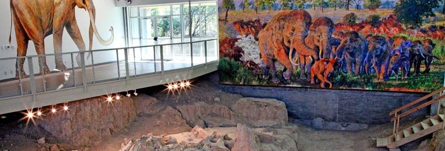 Waco Mammoth Site