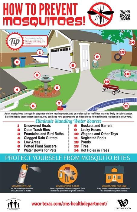 image of a flyer that shows where in the yard mosquitos breed