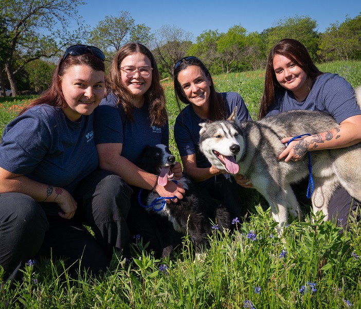 National Animal Control Officer Appreciation Week City of Waco