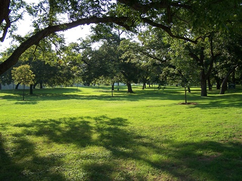 Photo of trees and greenspace in Cameron Park, with the Brazos River in the background.