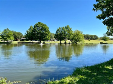 Photo of Buena Vista Park pond.