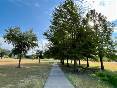 Chapel Park walking trail