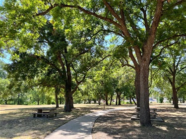 Dewey Park picnic area