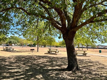 Jaycee Park picnic area