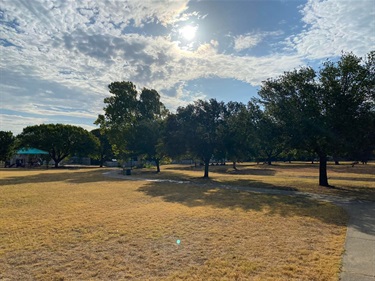 North Waco Park trees