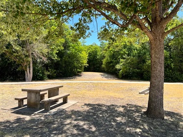 Viking Hills Park picnic area