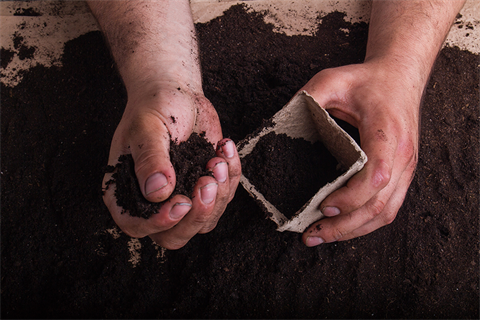hands with compost