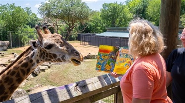 Giraffe looking at the book