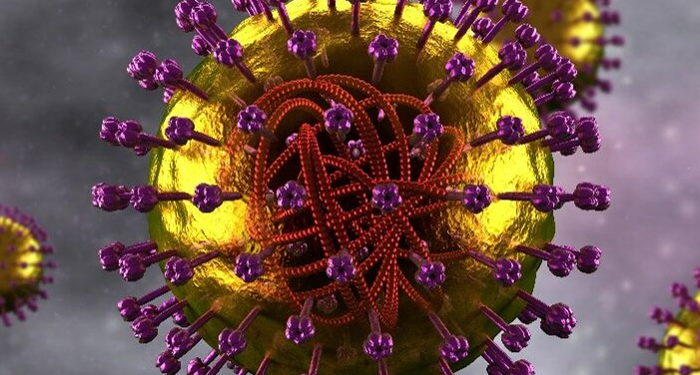 Colorful picture of a measles cell.
