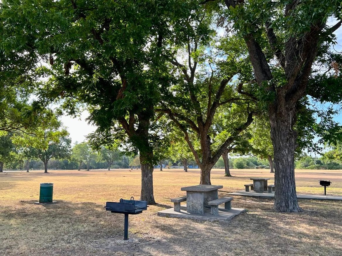Photo of picnic tables and grills under shade trees at Gurley Park.