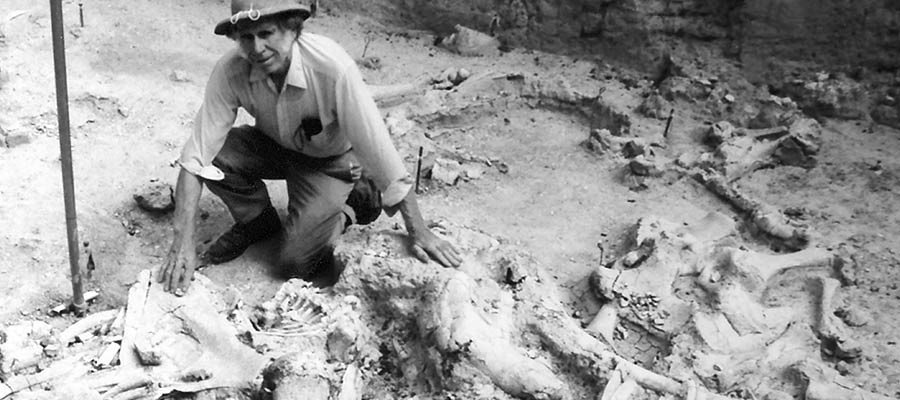 Bones found at the old dig site.