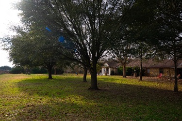 Large front yard of the home with large mature trees