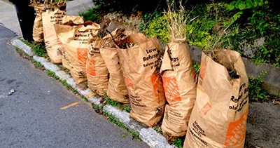 paper-bags-leaves.jpg