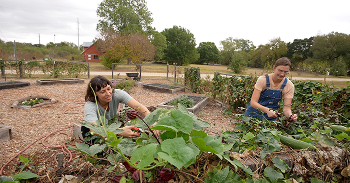 Two young women tending to a garden