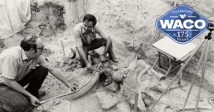 Two men measuring bones at the mammoth dig site.