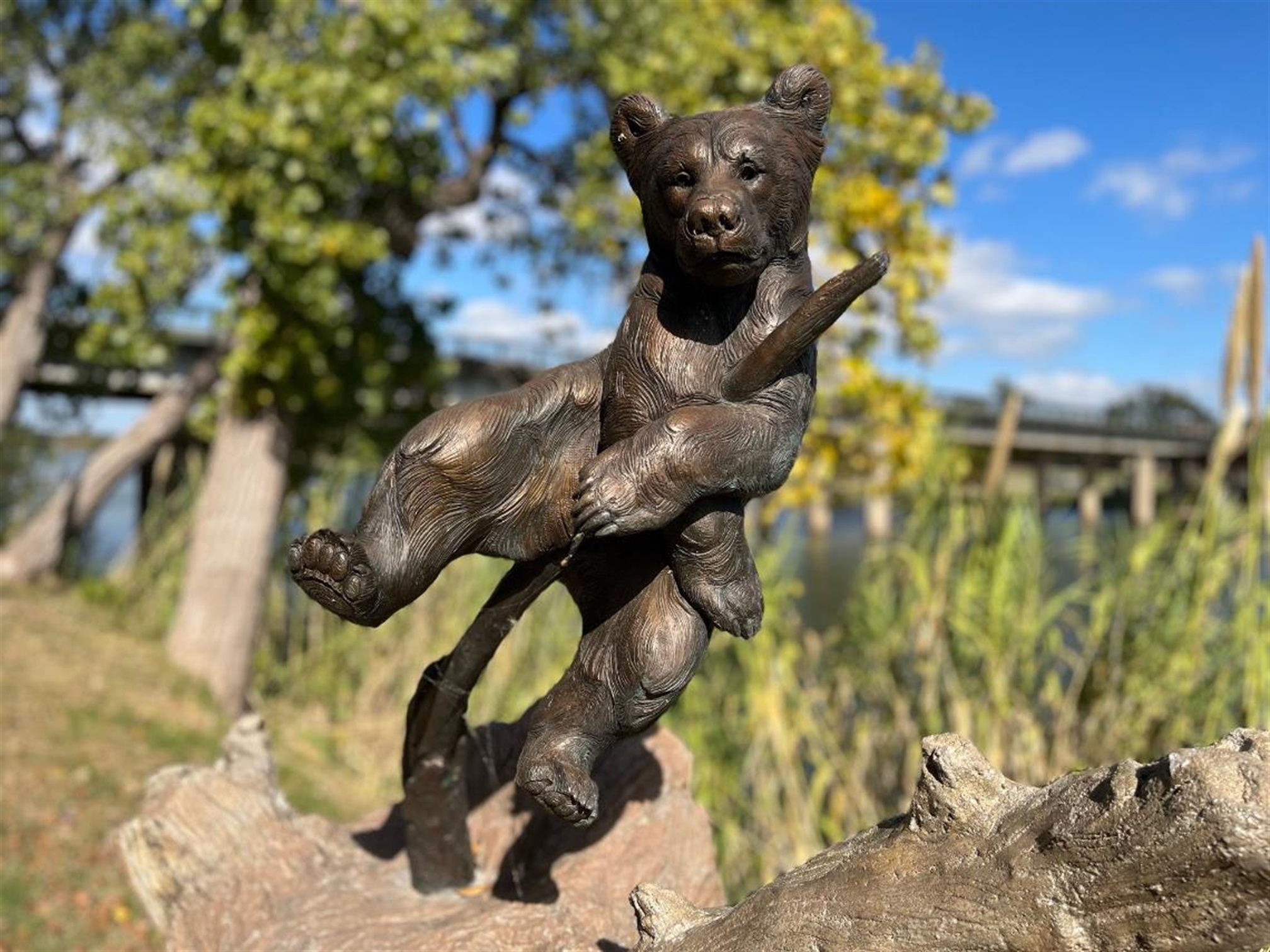 Photo of bear sculpture with the Brazos River in the background.