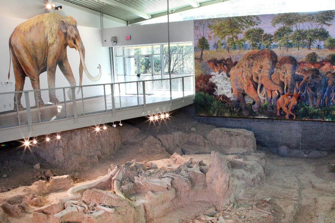 Photo of Dig Shelter at Waco Mammoth National Monument.